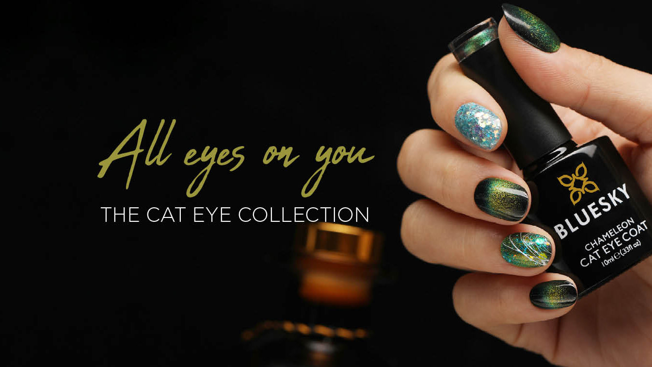 All Eyes On You. The Cat Eye Collections