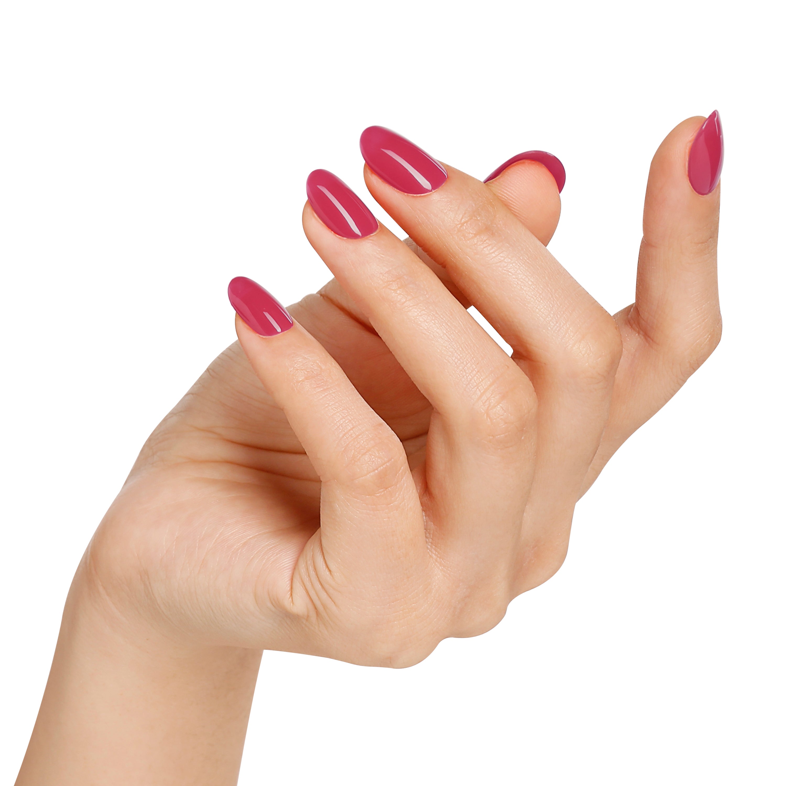 LOBSTER ROLL - BLUESKY