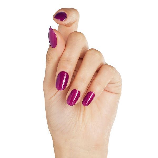 Tango Passion - BLUESKY