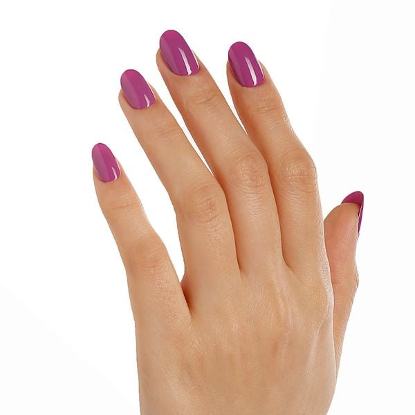 Purple Pink - BLUESKY