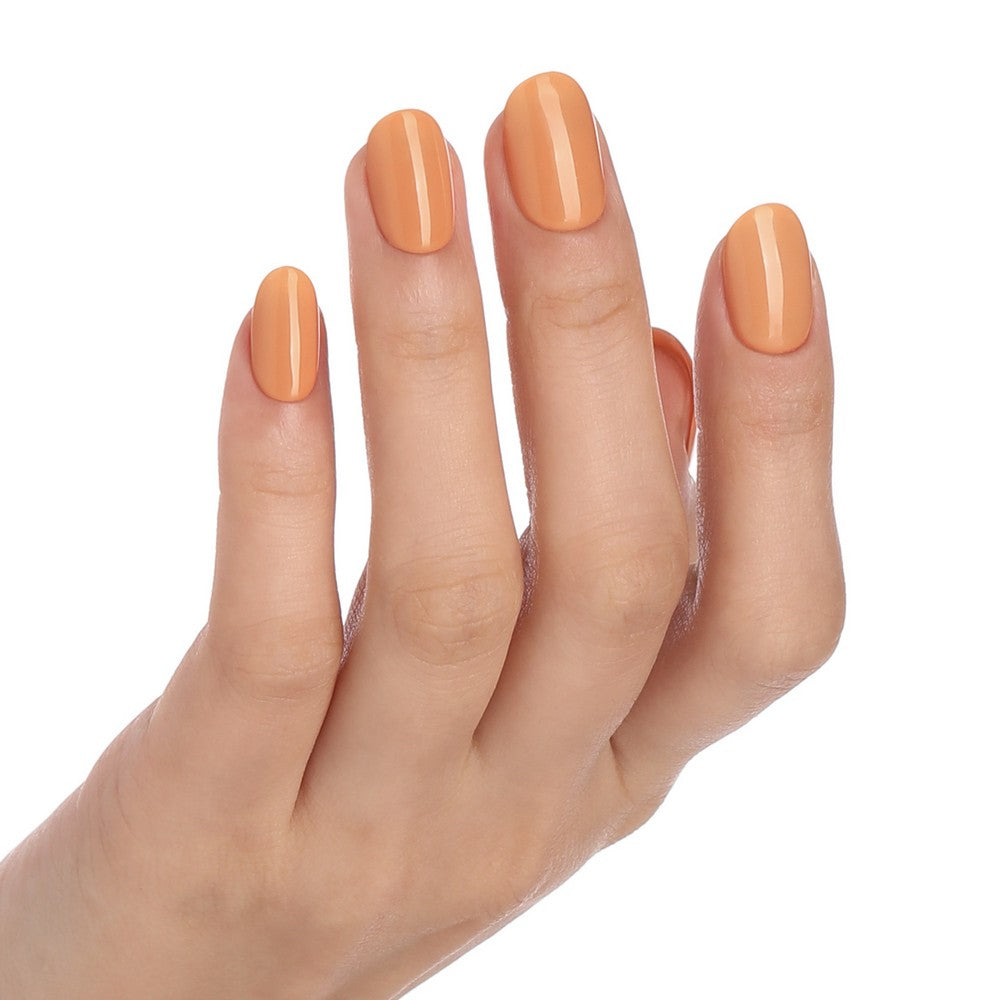 READY IN 5MIN - BLUESKY