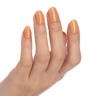 READY IN 5MIN - BLUESKY