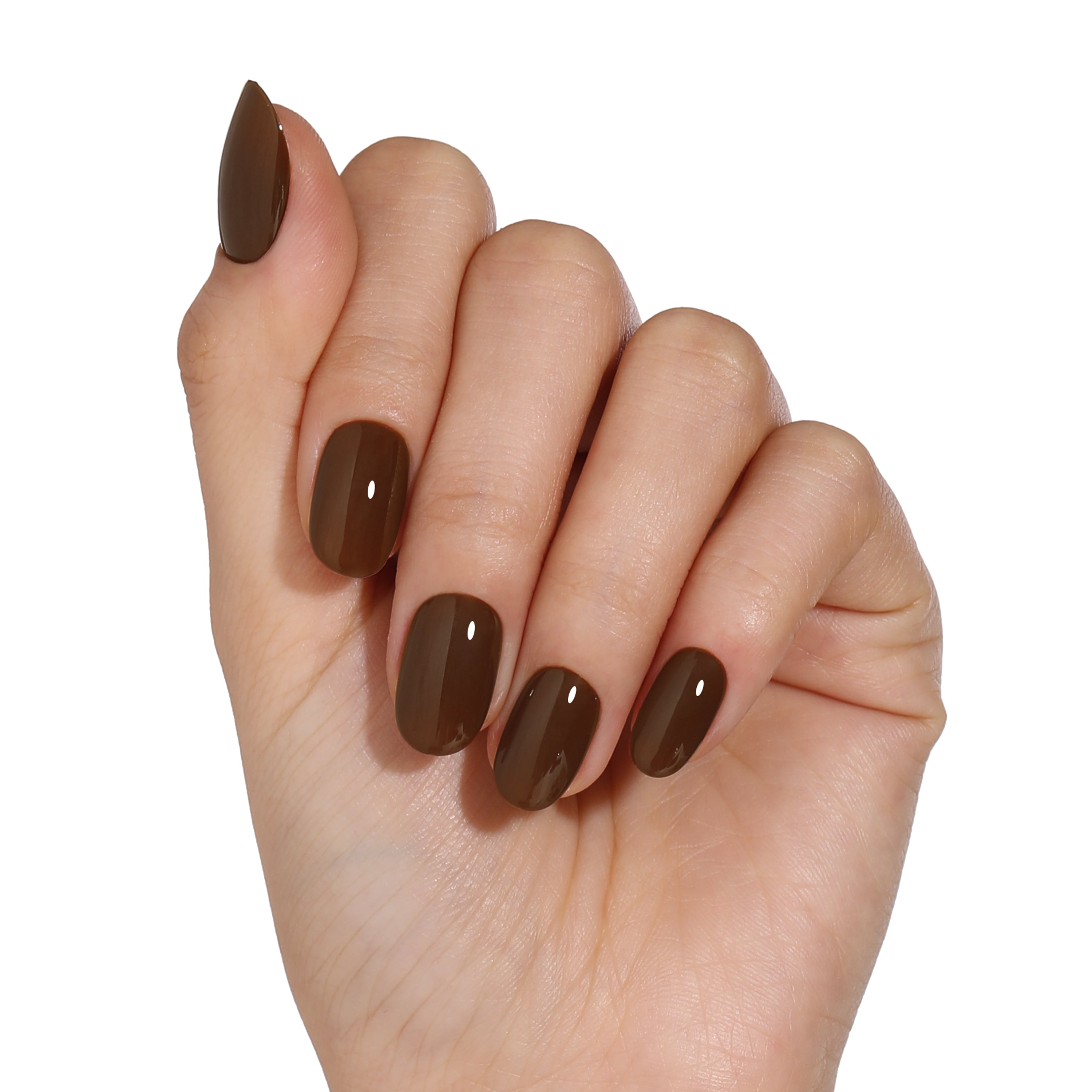 Fall 2022 | Into The Future | Brown Color | 10ml Gel Polish - BLUESKY