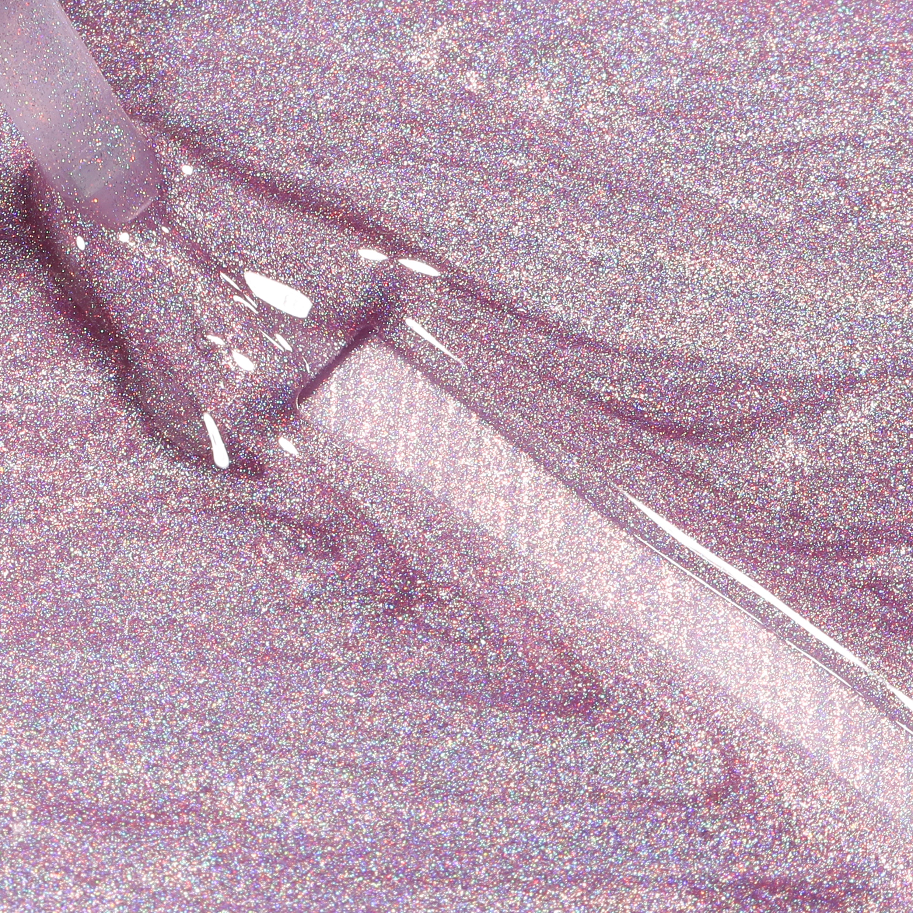 IN A FARAWAY LAND - BLUESKY