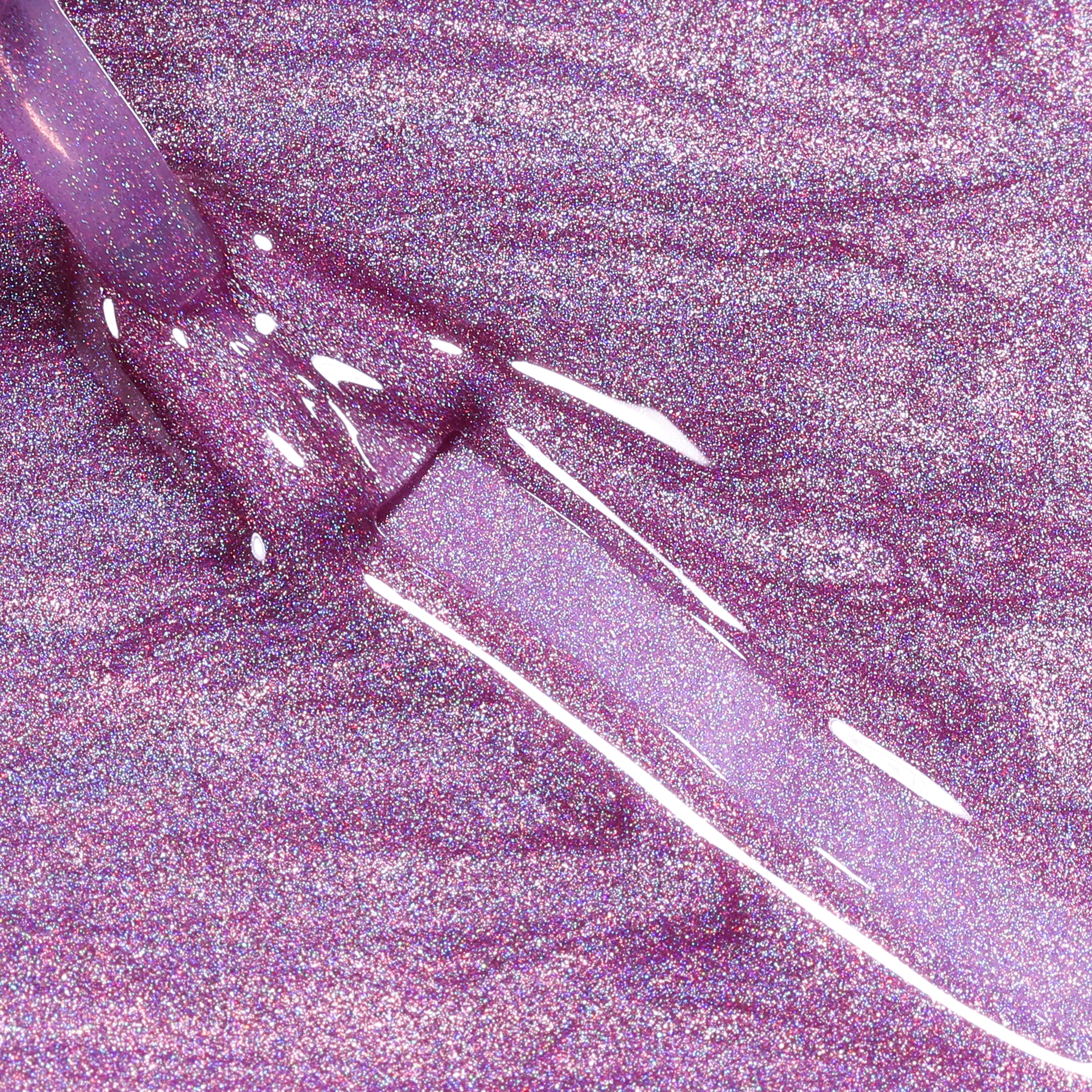 MAGICAL KINGDOM - BLUESKY