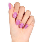 HAPPILY EVER AFTER - BLUESKY