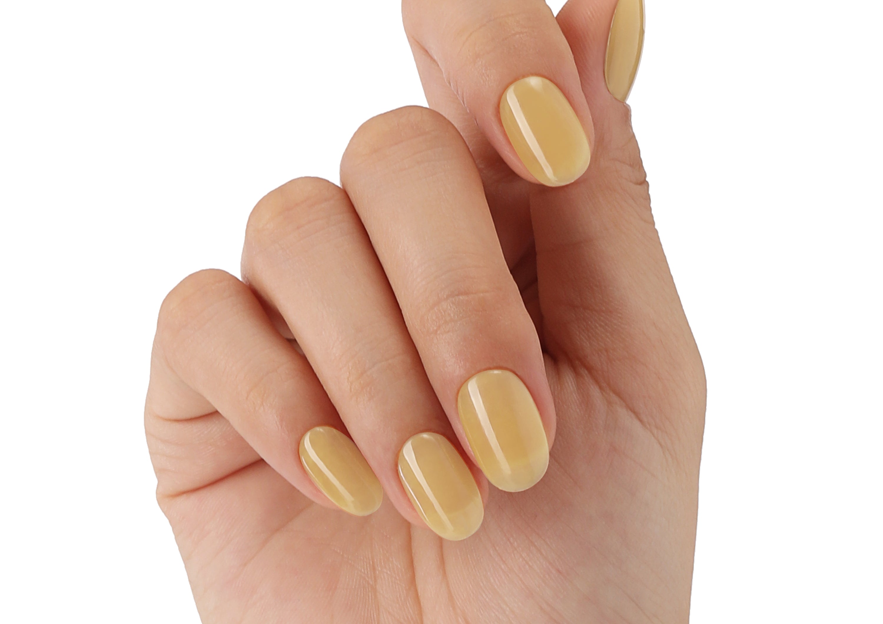 See the Light - BLUESKY