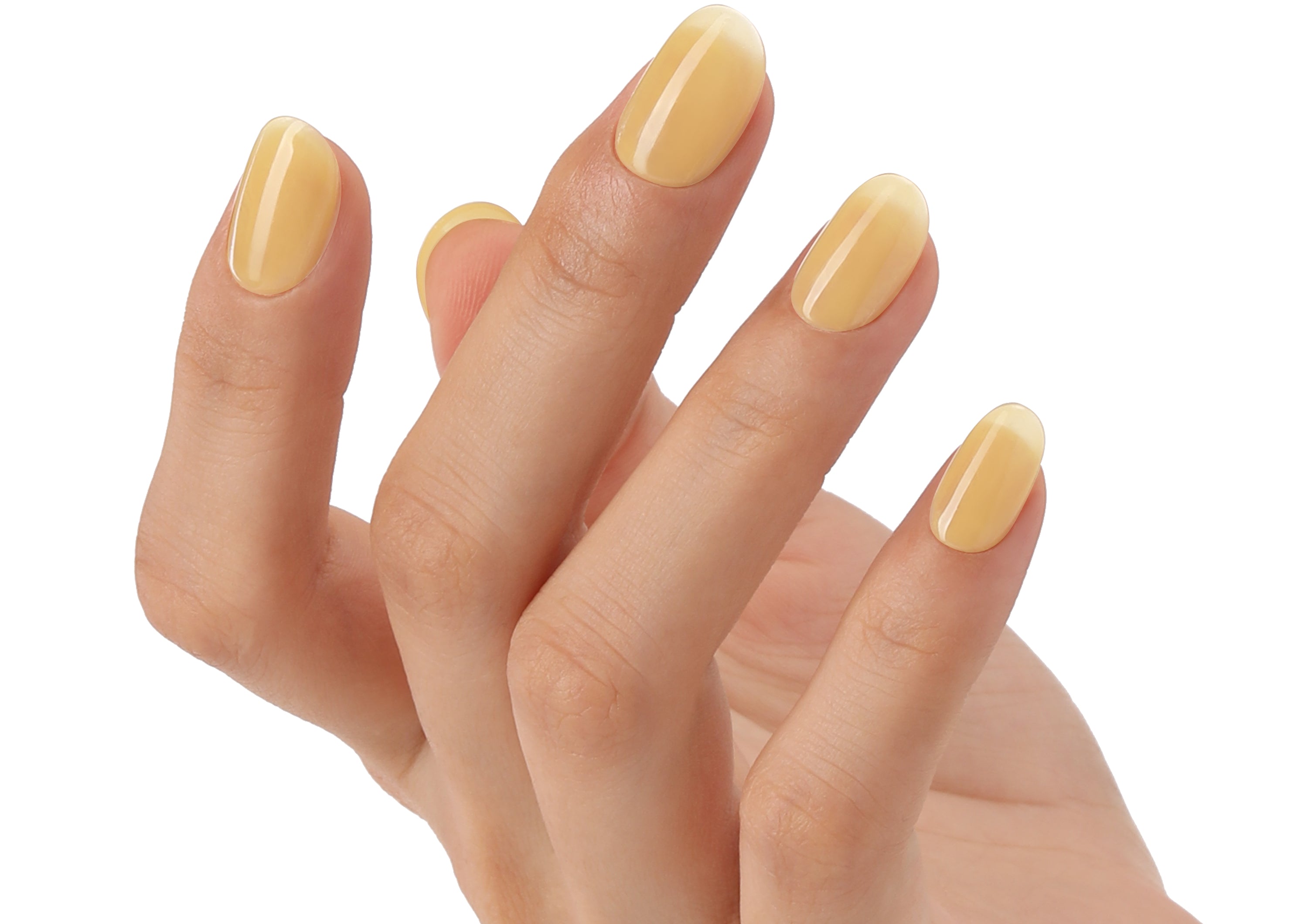 See the Light - BLUESKY