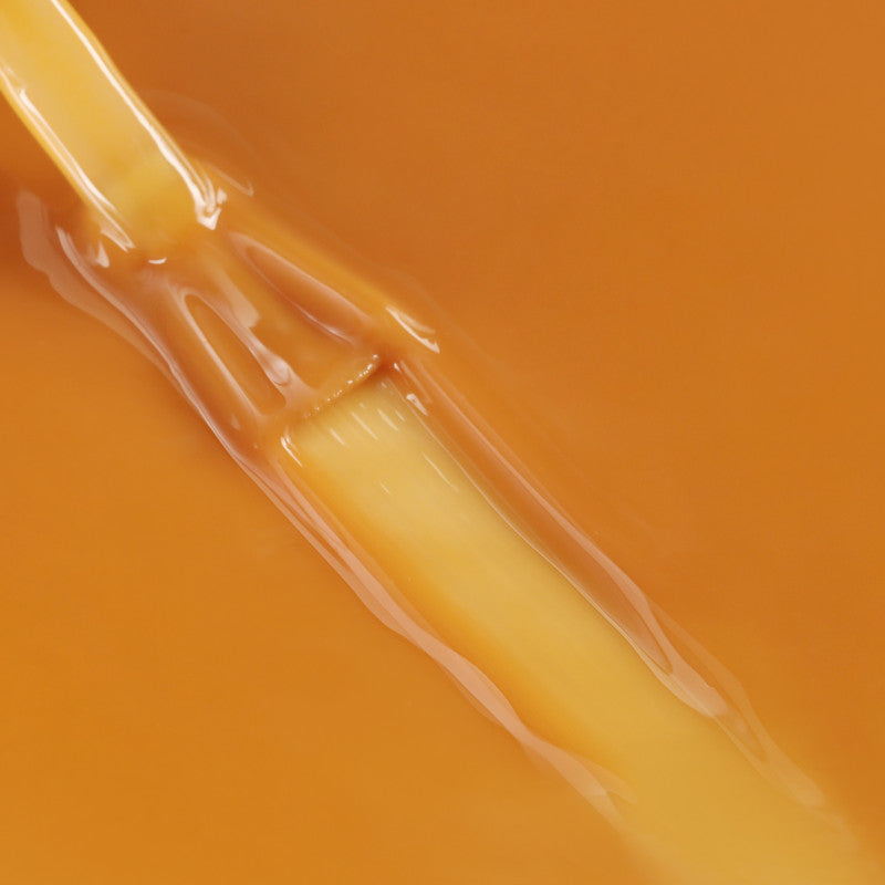 See the Light - BLUESKY