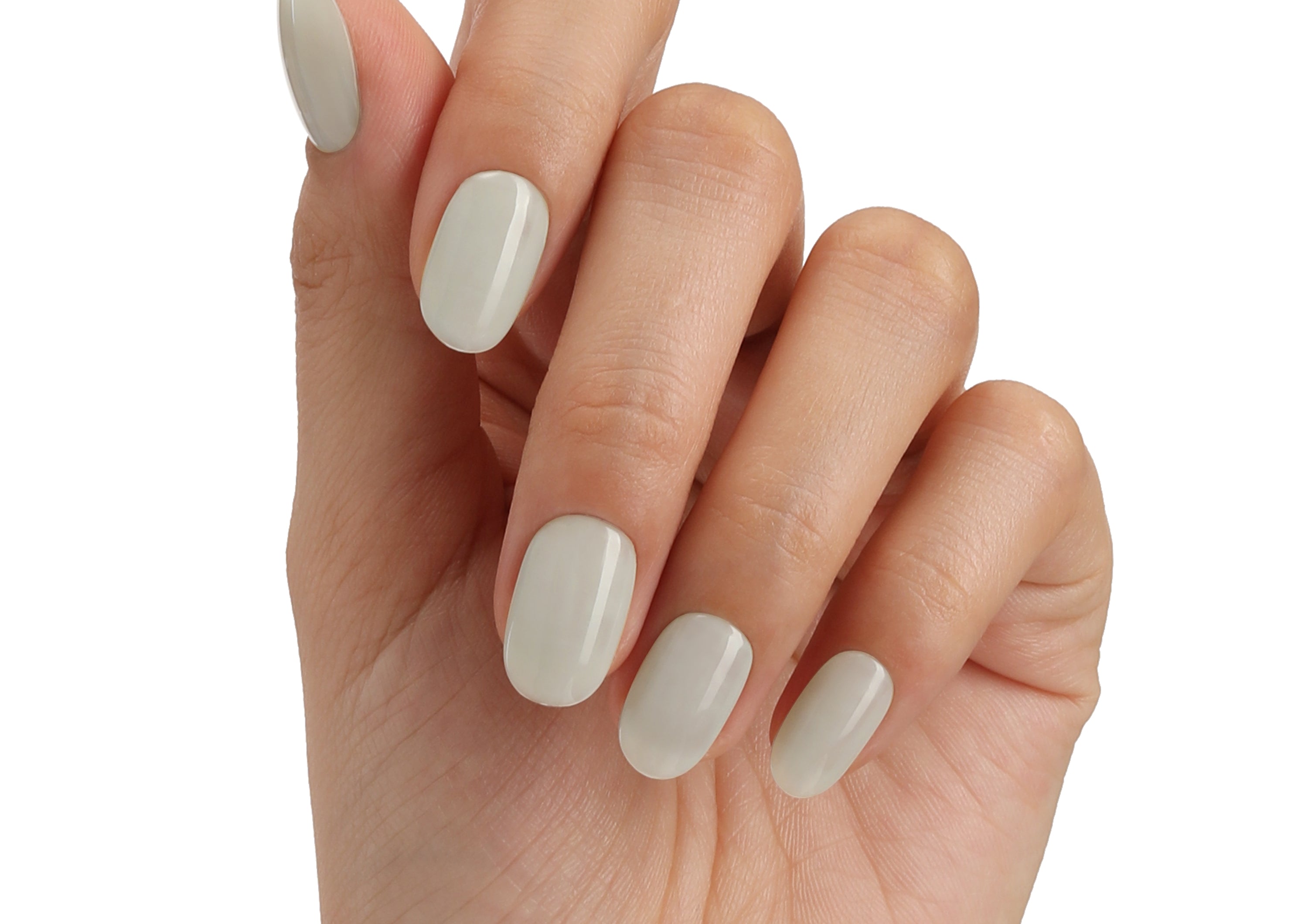 Grey's Anatomy - BLUESKY