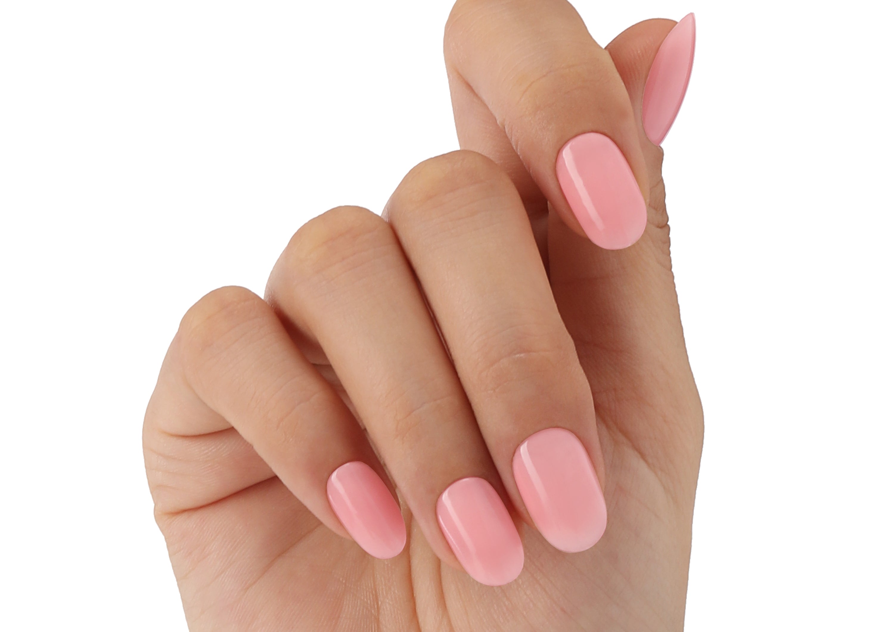 Let's Tingle - BLUESKY