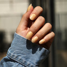 Barley Sugar - BLUESKY