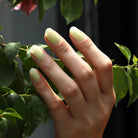 Rosey Apples - BLUESKY