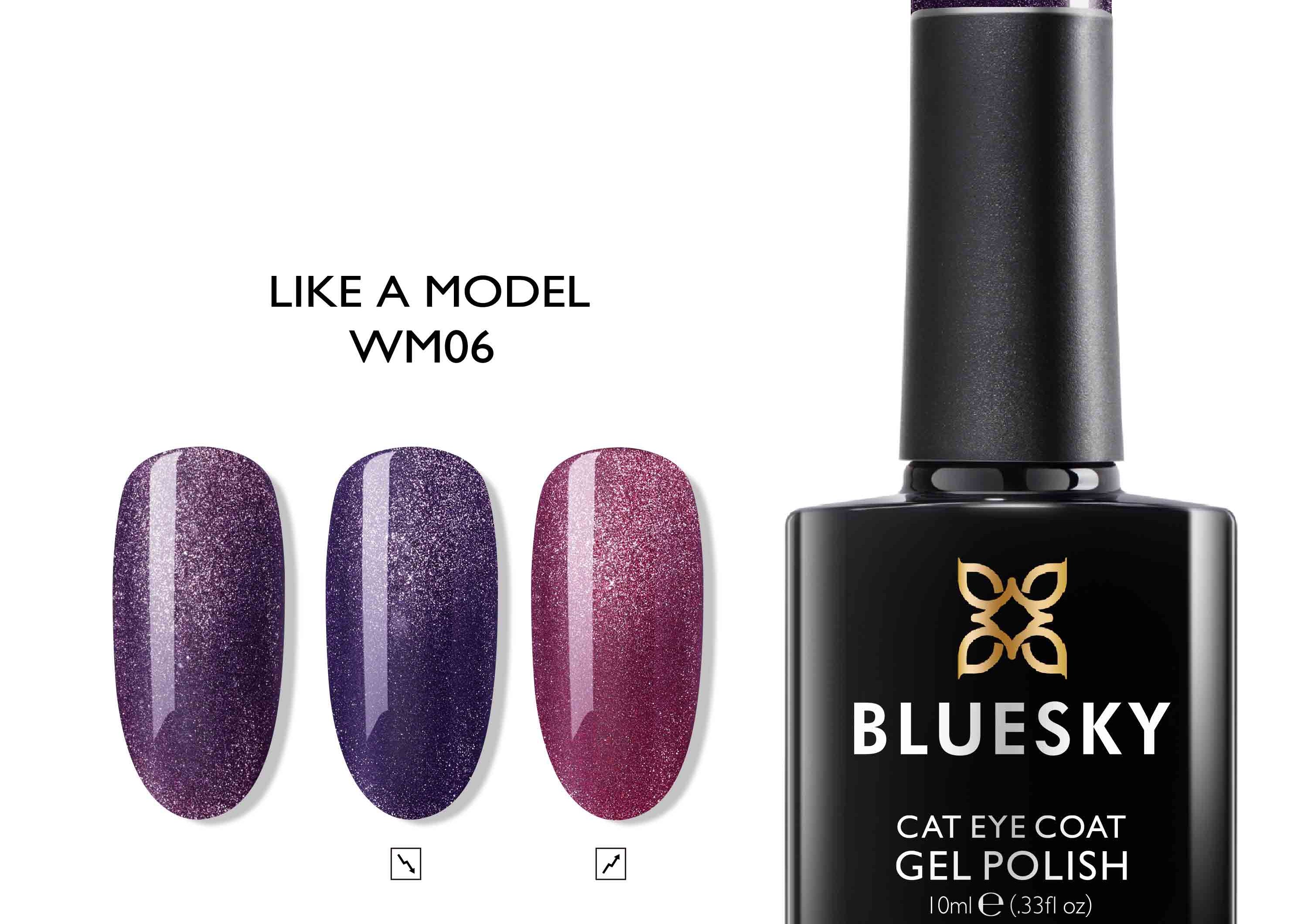 Like a Model - BLUESKY