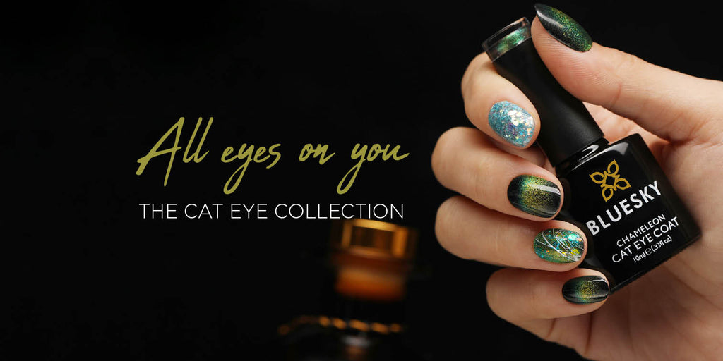 All Eyes On You. The Cat Eye Collections