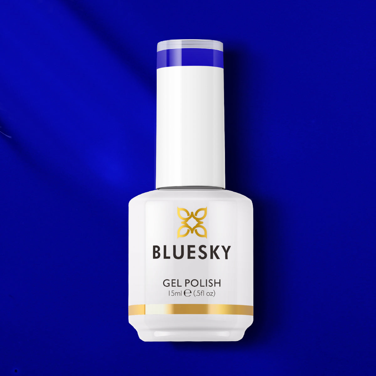 blue._.bluesky._.blueさん1-31-1 168_NEONS_CS23Plus_1200X1200_7