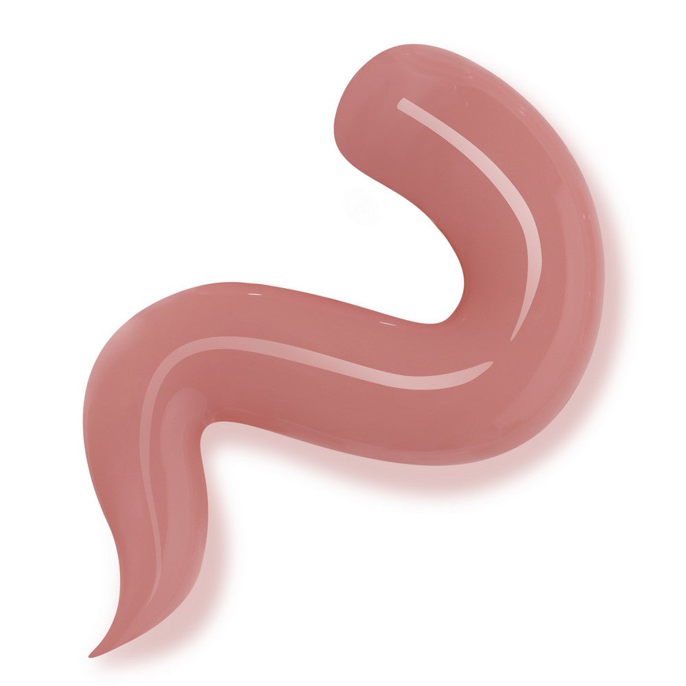 Gum Gel Pink - BLUESKY