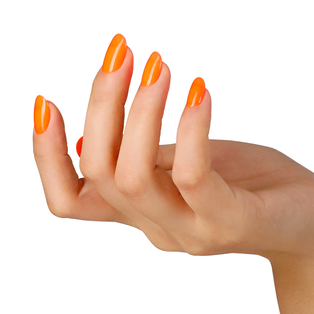ORANGE SORBET - BLUESKY